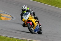 PJ-Motorsport-2019;anglesey-no-limits-trackday;anglesey-photographs;anglesey-trackday-photographs;enduro-digital-images;event-digital-images;eventdigitalimages;no-limits-trackdays;peter-wileman-photography;racing-digital-images;trac-mon;trackday-digital-images;trackday-photos;ty-croes